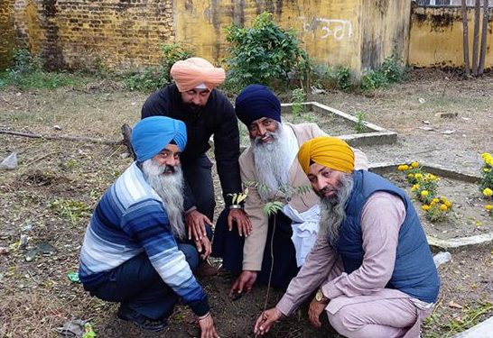 Tree Plantation by Society Members